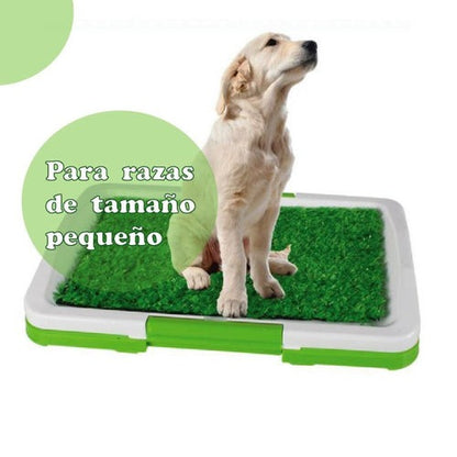 Baño ecológico y portátil para perros Mi Regalón